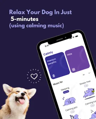 Calmly - Dog Sleep music android App screenshot 3